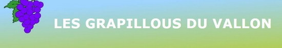 Logos_Associations_Les_Grapillous_du_Vallon_Logo